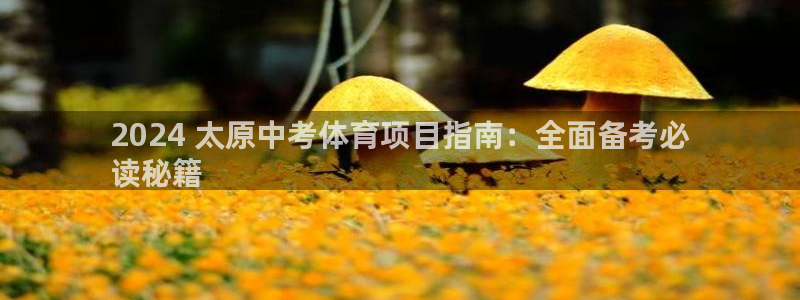 星欧娱乐挂机教程
