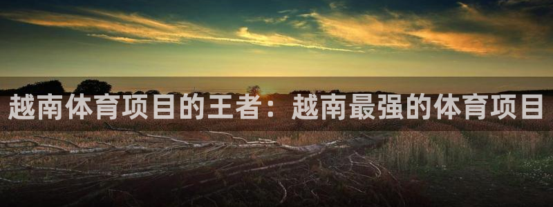 星欧娱乐app最新版本更新内容