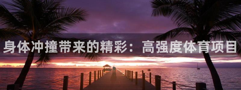 星澳娱乐公司