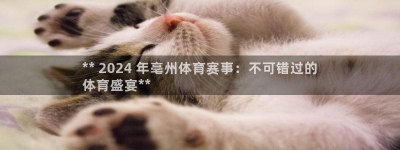 星欧娱乐属于什么档次