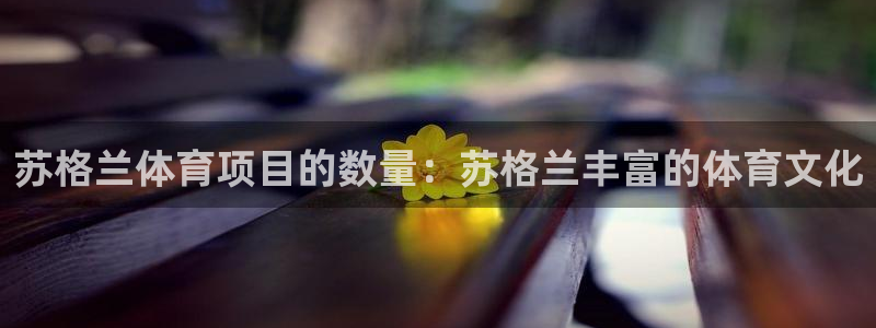 星欧娱乐平台怎么样知乎赚钱吗