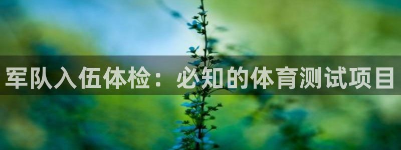 星欧娱乐app最新版本更新内容下载
