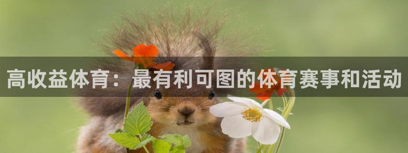 星欧娱乐扣款流程详解图片