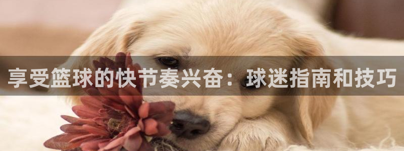星欧娱乐官方客服联系方式电话