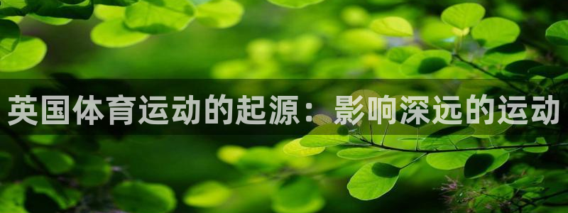 星欧娱乐扣款流程详解视频