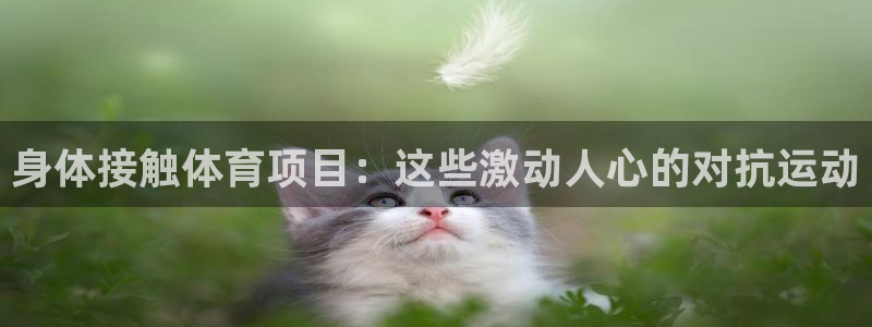星奥娱乐怎么样知乎