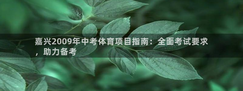 星欧娱乐官方客服联系方式是什么