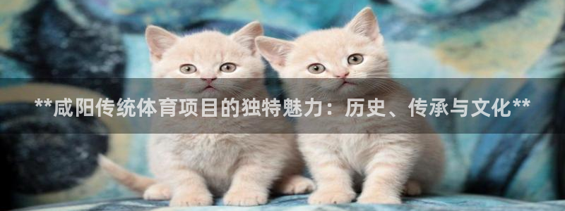 星欧娱乐游戏官网