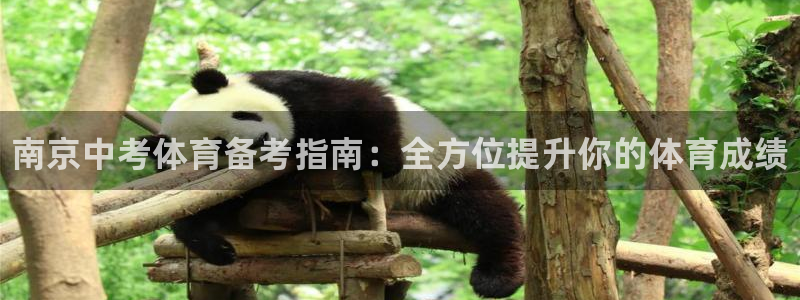 星欧娱乐最建议买的三个游戏是什么