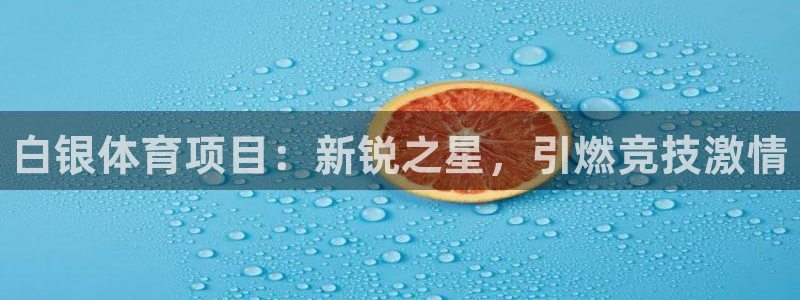 星欧娱乐扣款时间查询方法怎么查的