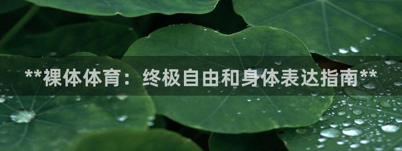 星欧娱乐是正规平台吗