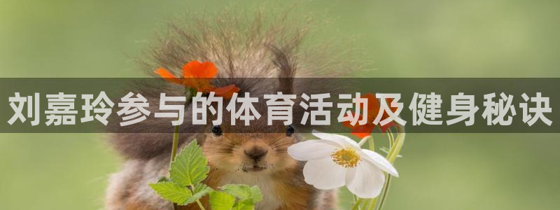 星欧娱乐工客服电话24小时人工服务