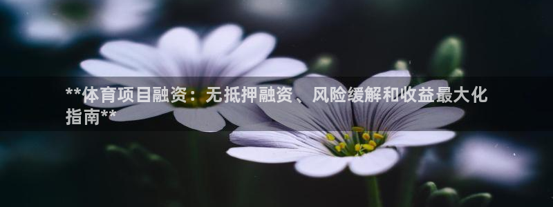 星欧娱乐的创始人背景故事