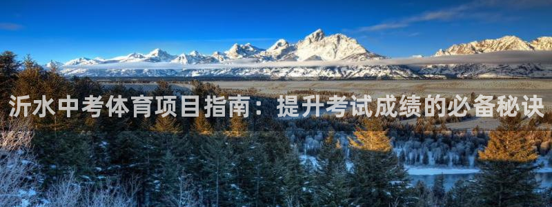 星欧娱乐扣款流程详解视频教程