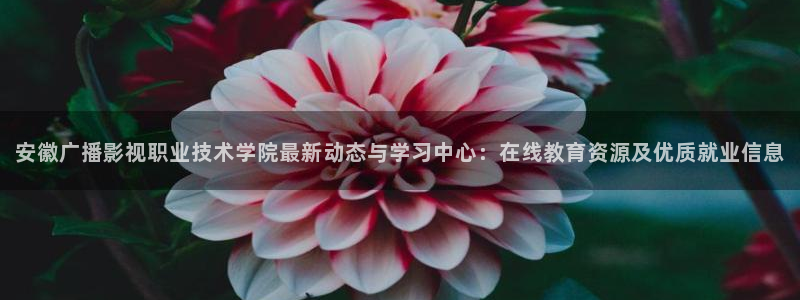 平民影院在线观看高清完整版：安徽广播影视职业技术学院最新动态与学习中心：在线教育资源及优质就业信息
