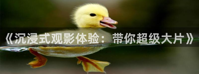 平民影院伦理片：《沉浸式观影体验：带你超级大片》