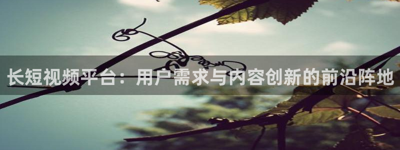 天天平民影院：长短视频平台：用户需求与内容创新的前沿阵地