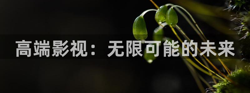 abc影视平民影院：高端影视：无限可能的未来