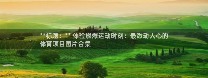 星欧娱乐属于什么档次的公司