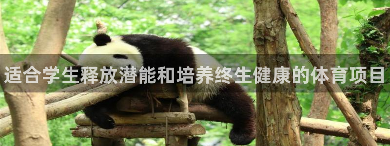 星欧娱乐雀V是什么平台