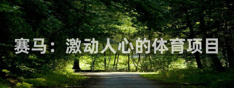 星娱乐是谁的公司