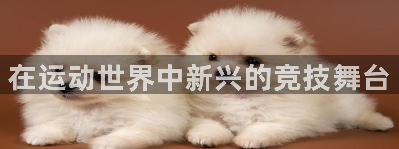 星欧娱乐挂机赚钱