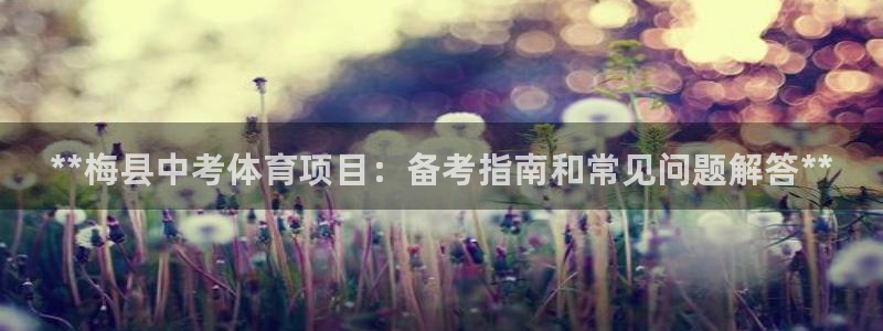 星欧娱乐的官方版本更新内容有哪些